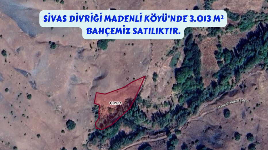 SİVAS DİVRİĞİ MADENLİ KÖYÜ 3.013 M² BAHÇEMİZ SATILIKTIR. - SİVAS DİVRİĞİ fotoğraf 7